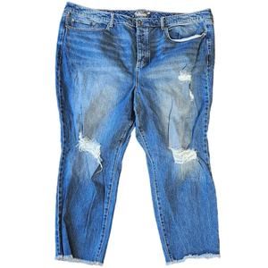 Torrid High Rise Straight Jeans Plus Size 26 Blue Denim Distressed Butto…‎